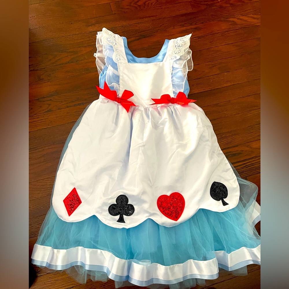 Alice in Wonderland costume